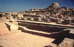 The Harappan Civilization