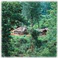 Tamilnadu Forests